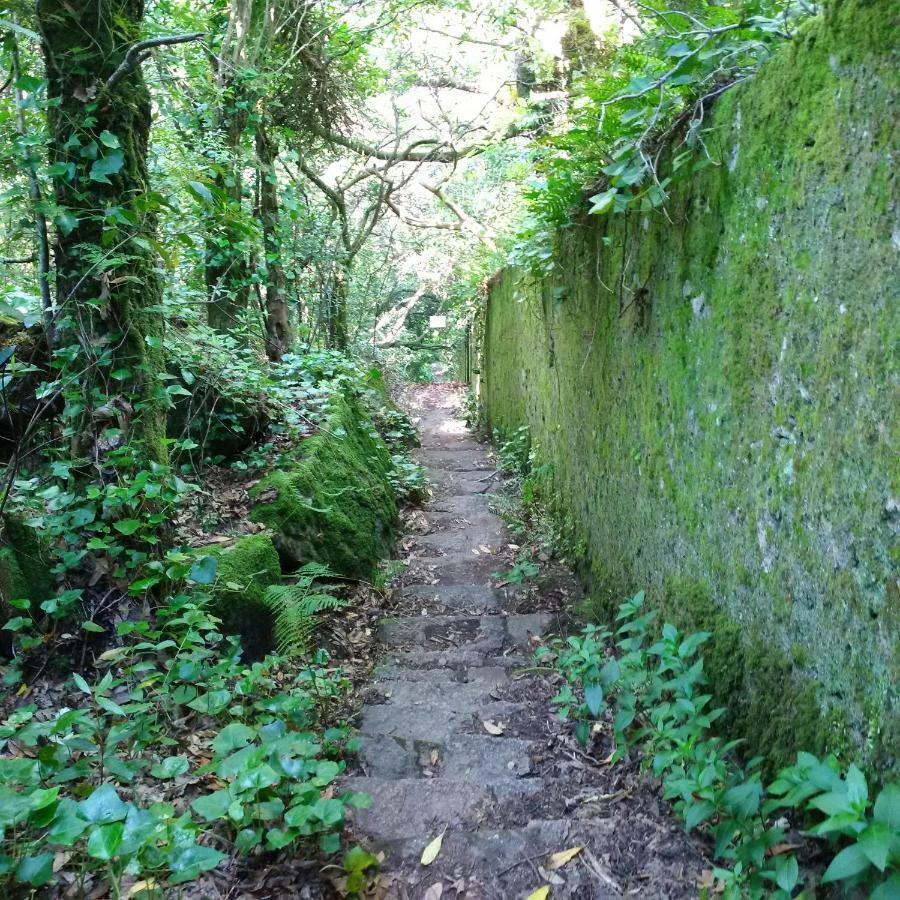 Villa Mucifal D Sintra Eksteriør billede